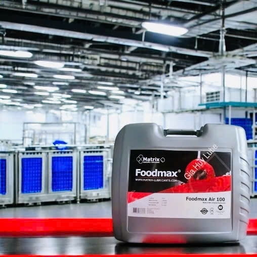 Foodmax Air 100